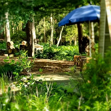 Hébergement de vacances Peaceful Oasis In Pristine Nature Borchel