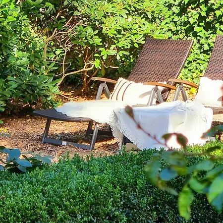 Peaceful Oasis In Pristine Nature