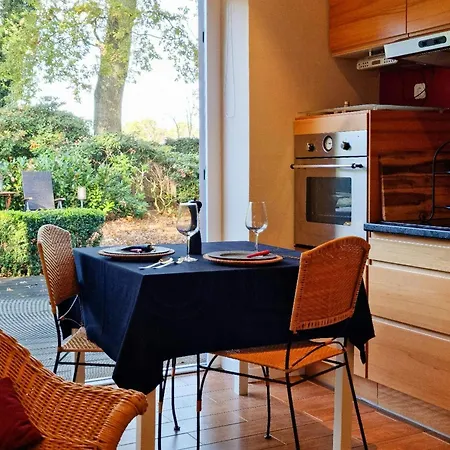 Peaceful Oasis In Pristine Nature Borchel