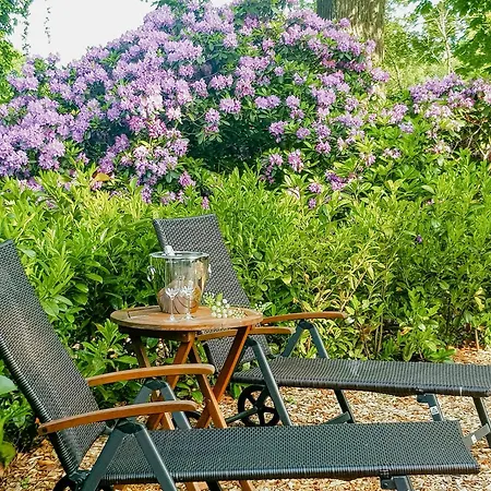 Peaceful Oasis In Pristine Nature Borchel